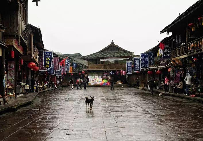 “福宝”即将回国!爱宝乐园用最浪漫的方式送别